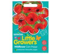 Unwins Little Growers Wildflower Corn Poppy