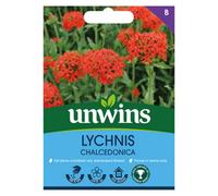 Unwins Lychnis Chalcedonica Easy To Grow Seeds