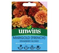 Unwins Marigold (French) Strawberry Blonde
