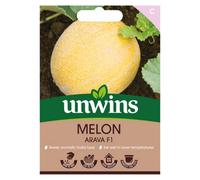 Unwins Melon Arava F Easy To Grow Seeds