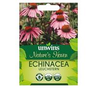 Unwins Nature's Haven Echinacea Leuchstern