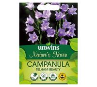 Unwins Nh Campanula Telham Beauty Easy To Grow Seeds
