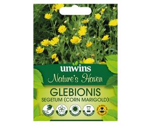 Unwins Nh Corn Marigold Easy To Grow Seeds