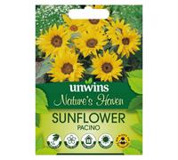Unwins Nh Sunflower Pacinoflower Easy To Grow Seeds