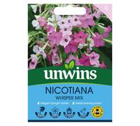 Unwins Nicotiana Whisper Mix Easy To Grow Seeds