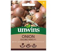 Unwins Onion Globe Fasto F Easy To Grow Seeds