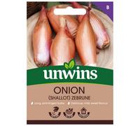 Unwins Onion Shallot Zebrune Easy To Grow Seeds