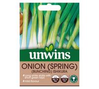 Unwins Onion (Spring) Bunching Ishikura