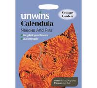 Unwins Pictorial Packet - Calendula Needles And Pins - 200 Seeds