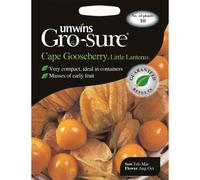 Unwins Pictorial Packet - Cape Gooseberry Little Lanterns - 10 Seeds