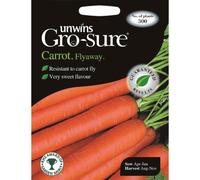 Unwins Pictorial Packet - Carrot Flyaway F1 - 300 Seeds