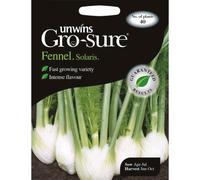Unwins Pictorial Packet - Fennel Solaris F1 - 40 Seeds