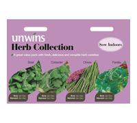 Unwins Pictorial Packet - Herb Collection - 1000 Seeds