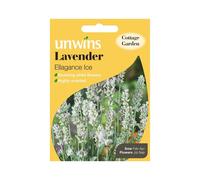 Unwins Pictorial Packet - Lavender Ellagance Ice (Recommended) - 20 Seeds