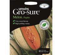 Unwins Pictorial Packet - Melon Pepito F1 - 10 Seeds