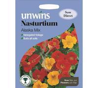Unwins Pictorial Packet - Nasturtium Alaska Mix - 30 Seeds