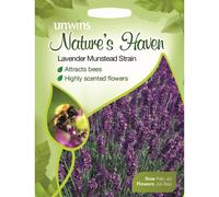 Unwins Pictorial Packet - Natures Heaven Lavender Munstead Strain - 150 Seeds