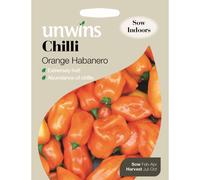Unwins Pictorial Packet - Pepper (Chilli) Orange Habanero - 10 Seeds
