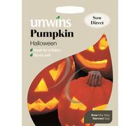 Unwins Pictorial Packet - Pumpkin Halloween - 8 Seeds