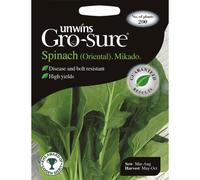 Unwins Pictorial Packet - Spinach (Oriental) Mikado F1 - 200 Seeds