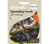 Unwins Pictorial Packet - Sprouting Seeds Red Cabbage - 3000 Seeds