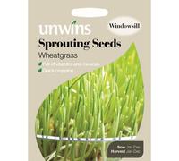 Unwins Pictorial Packet - Sprouting Seeds Wheatgrass - 400 Seeds