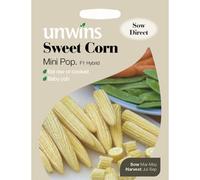 Unwins Pictorial Packet - Sweet Corn Mini Pop - 45 Seeds
