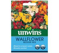 Unwins Pictorial Packet - Wallflower Bedder Mix - 600 Seeds