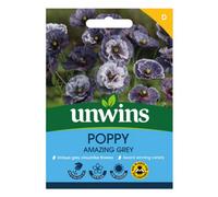 Unwins Poppy Amazing Grey Easy To Grow Seeds