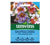 Unwins Salpiglossis Tora Staring Eyes