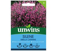 Unwins Silene Sibella Carmine Easy To Grow Seeds