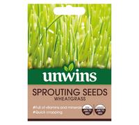 Unwins Sprouting Seeds Wheatgrass Easy To Grow Seeds