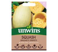 Unwins Squash (Winter) Spaghetti Stripetti