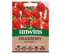Unwins Strawberry Delician Easy To Grow Seeds