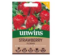 Unwins Strawberry Florian Easy To Grow Seeds