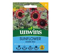 Unwins Sunflower Desire Red Easy To Grow Seeds