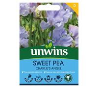 Unwins Sweet Pea Charlie's Angel