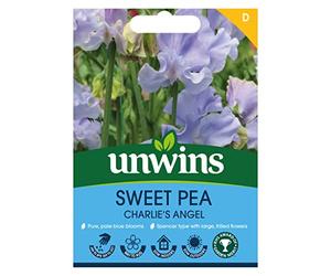 Unwins Sweet Pea Charlie's Angel