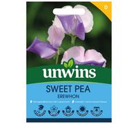 Unwins Sweet Pea Erewhon Easy To Grow Seeds