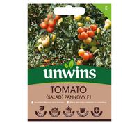 Unwins Tomato Salad Pannovy F Easy To Grow Seeds