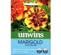 Unwins Unwin Flower Seeds Marigold Goldiluxe Seeds
