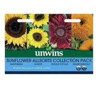 Unwins Unwin Flower Seeds Sunflower Allsorts Collection
