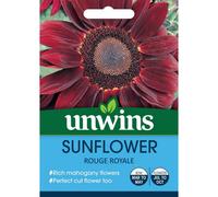 Unwins Unwin Flower Seeds Sunflower Rouge Royale