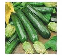 Unwins Unwin Vegetable Seeds Courgette Firenze F1