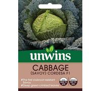 Unwins Vegetable Seeds Cabbage Savoy Cordesa F1 Seeds