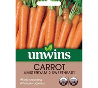 Unwins Vegetable Seeds - Carrot Autumn King 2 Seeds