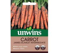 Unwins Vegetable Seeds - Carrot James Scarlet Inter Seeds