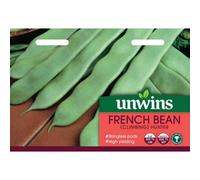Unwins Vegetable Seeds - French Bean Hunter Seeds