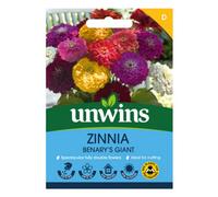 Unwins Zinnia Benary's Giant Easy To Grow Seeds