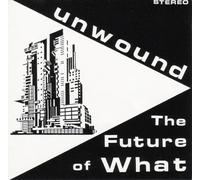 Unwound - The Future of What [VINYL]